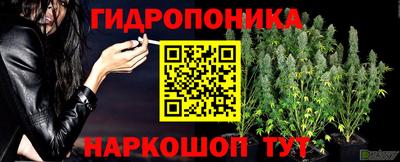 mdpv Лесосибирск