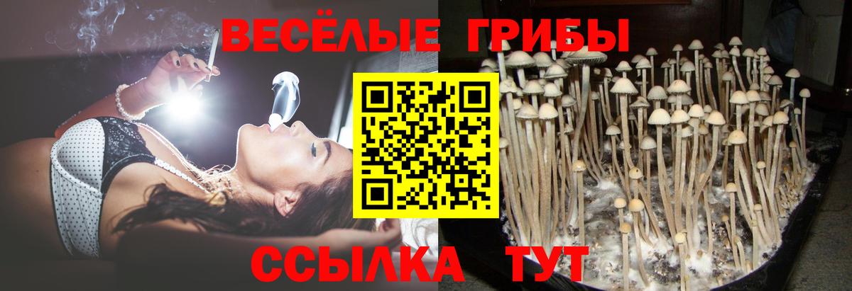 Галлюциногенные грибы мухоморы  Вход с VPN  Псилоцибиновые грибы MAGIC MUSHROOMS  Урай 